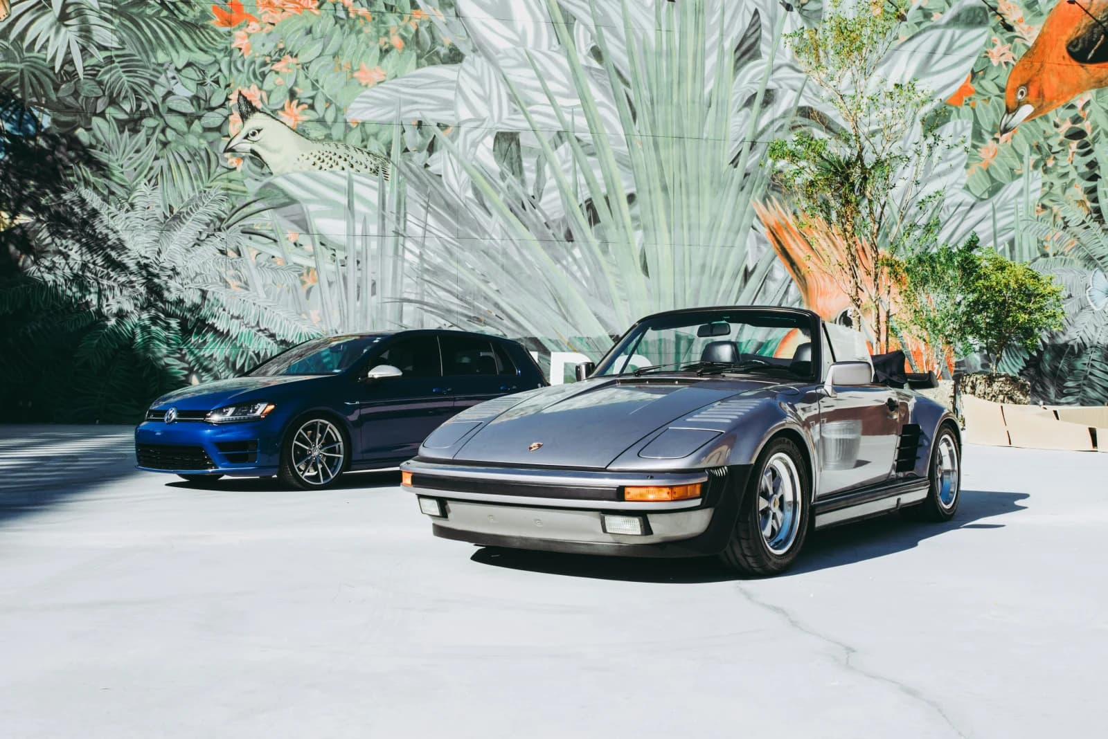 Un convertible plateado y un auto azul frente a un mural de hojas y aves.